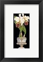 Framed Orchids in Silver I
