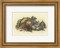 Framed Vegetables from the Earth