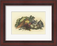 Framed Vegetables from the Earth