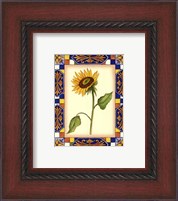 Framed Tuscany Sunflower I
