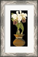 Framed Orchids in Pot II