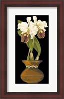 Framed Orchids in Pot II