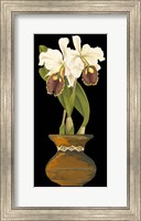 Framed Orchids in Pot II