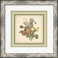 Framed Tuscany Bouquet (P) IV