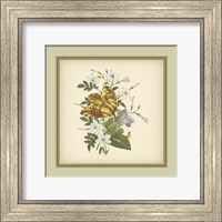 Framed Tuscany Bouquet (P) IX