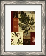 Framed Leaf Print Collage (U) III