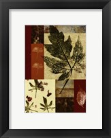 Framed Leaf Print Collage (U) III