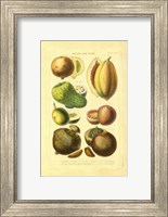 Framed Fruits and Nuts I