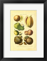 Framed Fruits and Nuts I