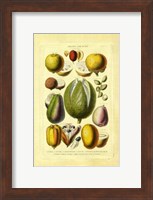 Framed Fruits and Nuts II