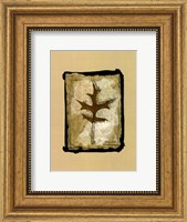 Framed Kyoto Leaves I