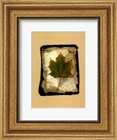 Framed Kyoto Leaves V