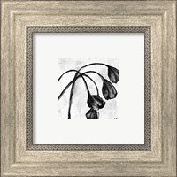 Framed Mini Swooning Tulips I (NA)