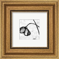 Framed Mini Swooning Tulips II (NA)