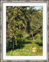 Framed Dubavik's Garden