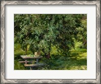 Framed Under the Apple Tree