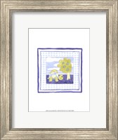 Framed Turtle with Plaid (PP) I