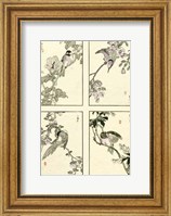 Framed Woodblock Oriental Birds