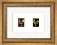 Framed Mini Roosters on Black