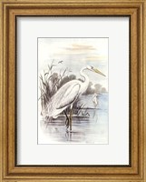 Framed White Heron