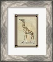 Framed Giraffe with Border I