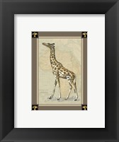 Framed Giraffe with Border I