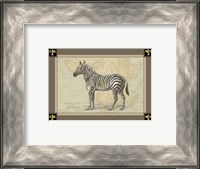 Framed Zebra with Border I