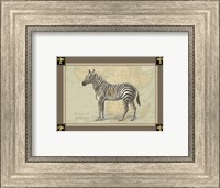 Framed Zebra with Border I