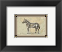 Framed Zebra with Border I