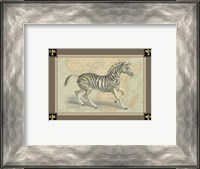 Framed Zebra with Border II