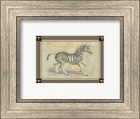 Framed Zebra with Border II