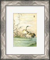 Framed Oriental Cranes II
