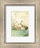 Framed Oriental Cranes II