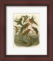 Framed Red Cassel Birds I