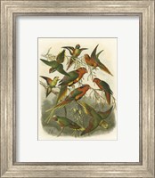 Framed Red Cassel Birds I