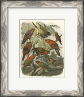 Framed Red Cassel Birds II