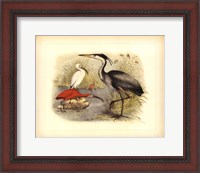 Framed Heron & Ibis