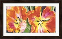 Framed Two Parrot Tulips