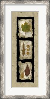 Framed Kyoto Panel II