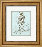 Framed Lilium on Blue