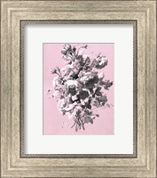 Framed Roses on Pink