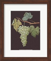 Framed White Grapes