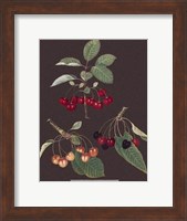 Framed Cherries