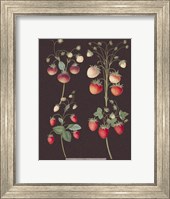 Framed Strawberries