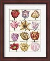 Framed Tulips En Masse I