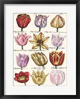 Framed Tulips En Masse I