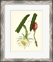 Framed Exotic Flora II