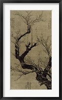 Framed Plum Blossom Tree