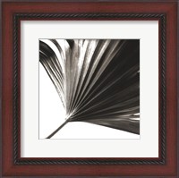 Framed Black and White Palm II