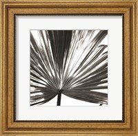 Framed Black and White Palm III